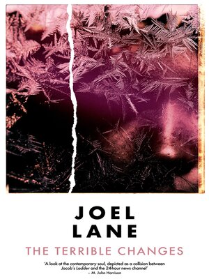 cover image of The Terrible Changes